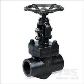 API 598 Globe Valve, 2 Inch, 800LB, NPT