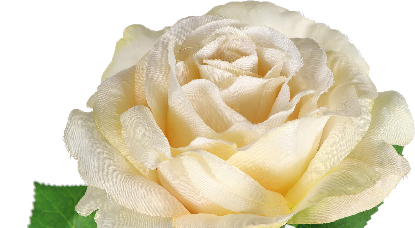 flower details