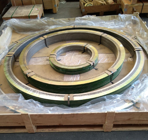 Stainless Steel SPW Gasket
