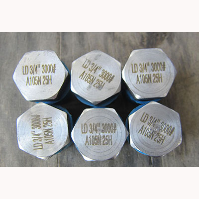 ANSI B16.11 Hex Head Plug