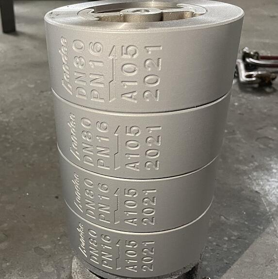ASTM A105 Wafer Check Valve